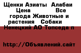 Щенки Азиаты (Алабаи) › Цена ­ 20 000 - Все города Животные и растения » Собаки   . Ненецкий АО,Топседа п.